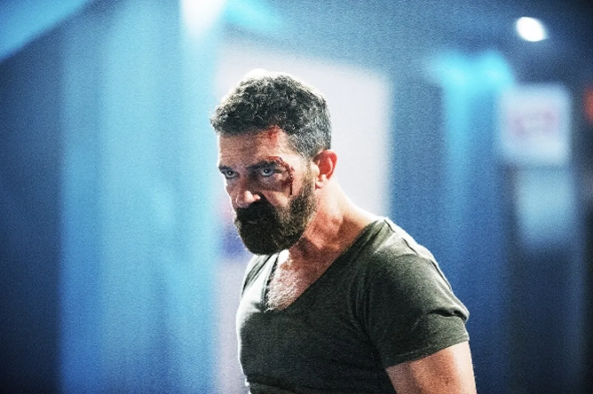 Security, 2017 - fotogaléria