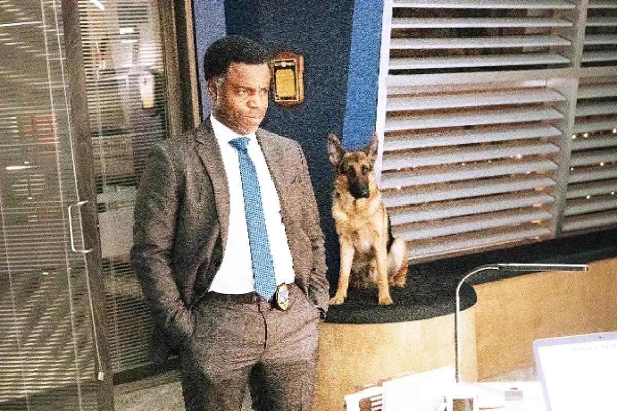 Hudson a Rex, 2019 - fotogaléria