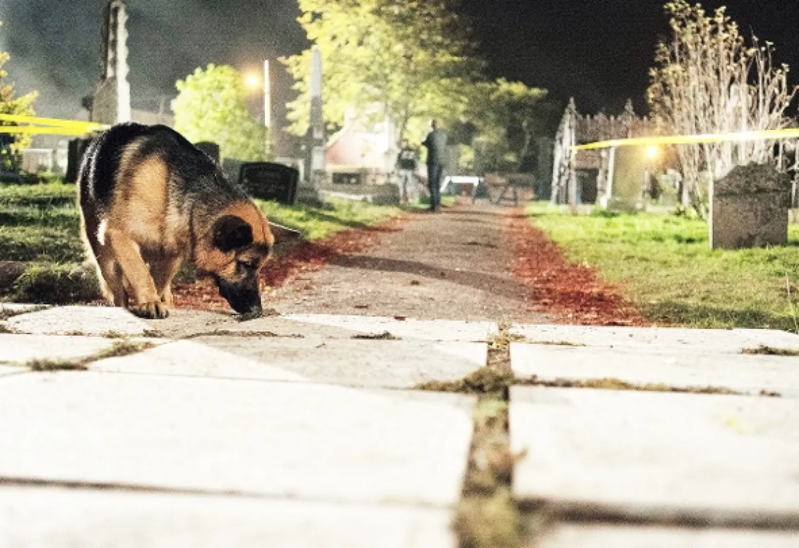 Hudson a Rex, 2019 - fotogaléria