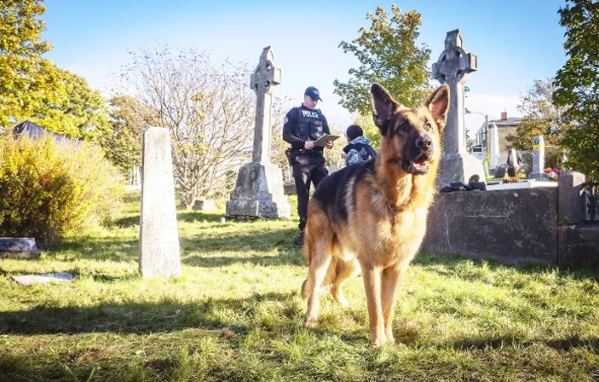 Hudson a Rex, 2019 - fotogaléria