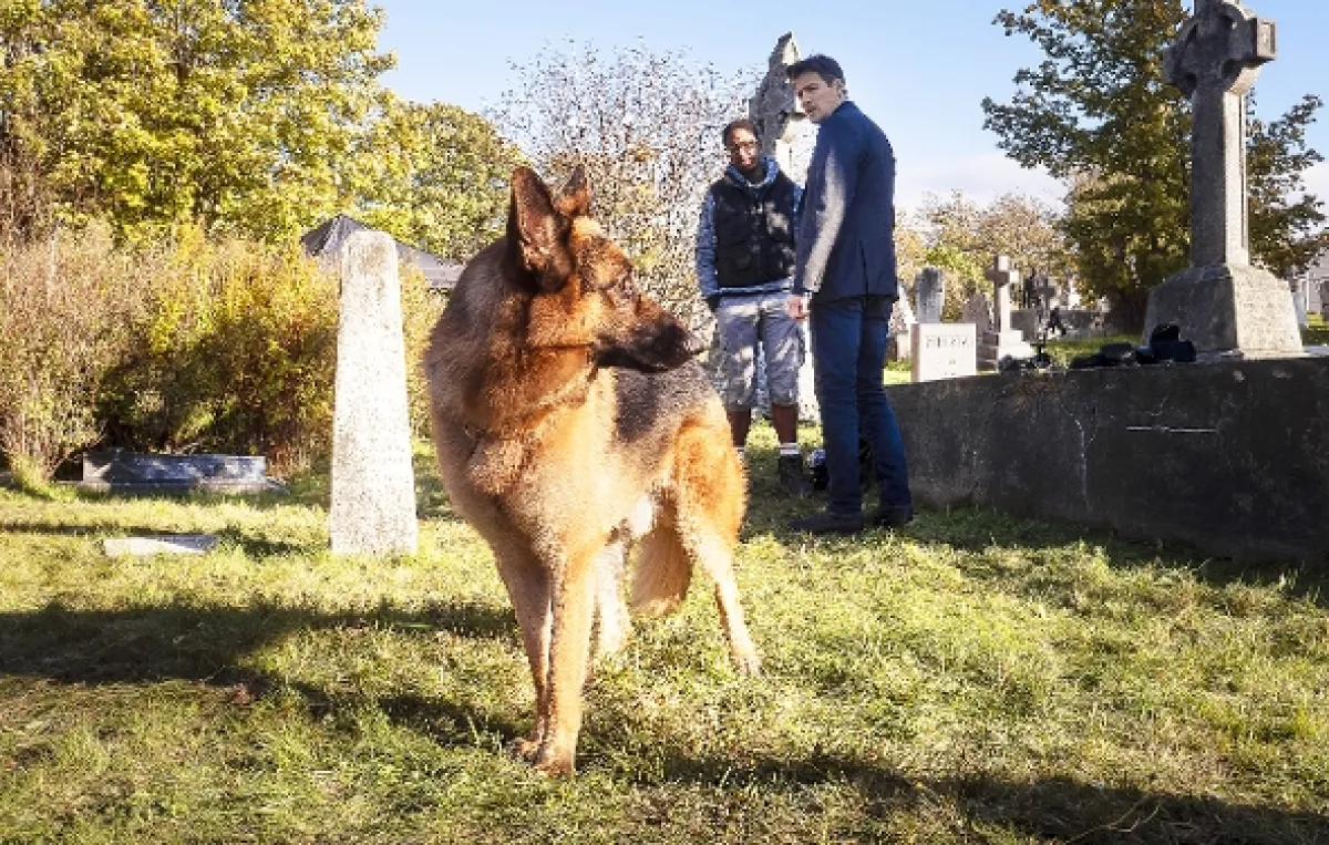 Hudson a Rex, 2019 - fotogaléria