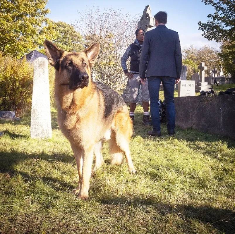 Hudson a Rex, 2019 - fotogaléria