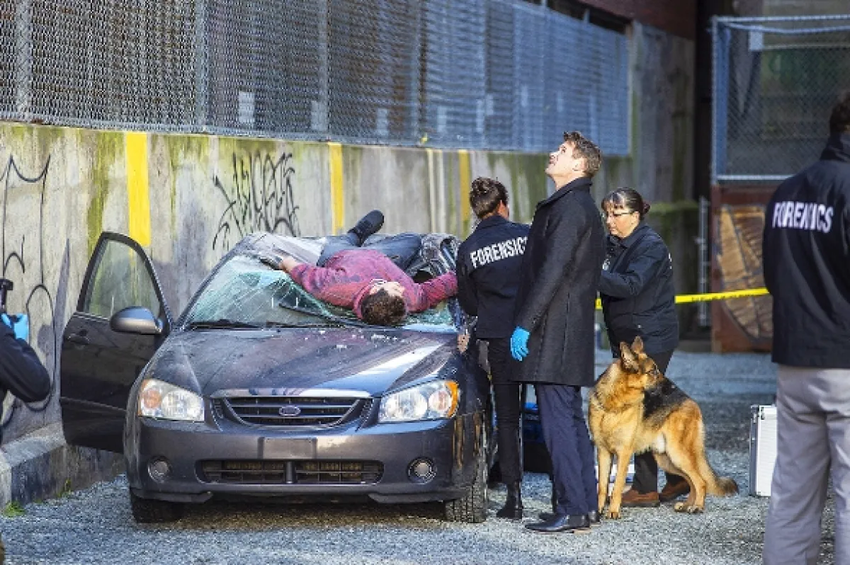 Hudson a Rex, 2019 - fotogaléria