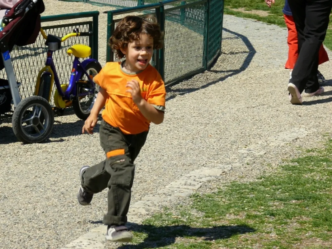 Dobrá čtvrť, 2008 - fotogaléria