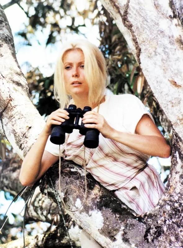 Divoch (Sauvage, Le), 1975 - fotogaléria
