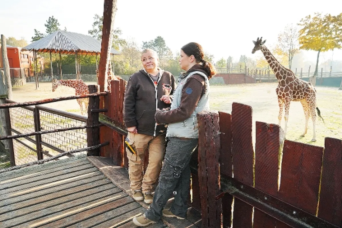 Zoo, 2021 - fotogaléria