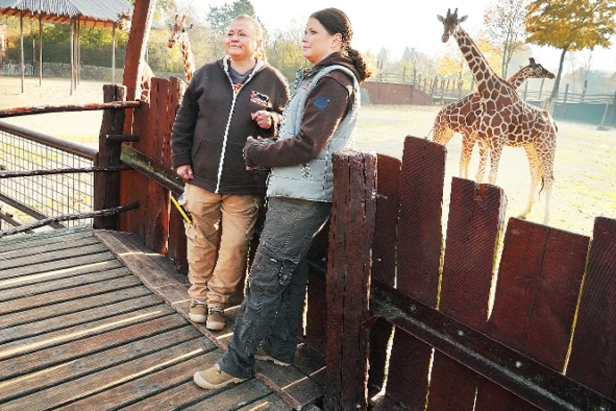 Zoo, 2021 - fotogaléria