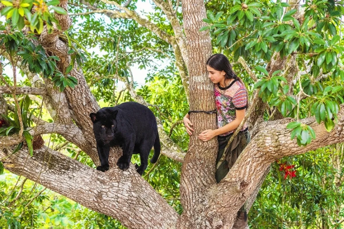 Ella a čierny jaguár (Autumn and the Black Jaguar), 2024 - fotogaléria