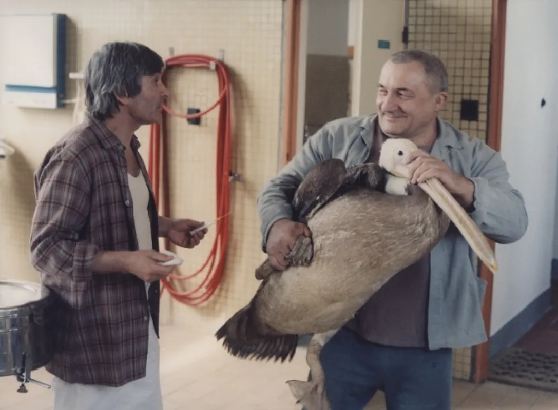 Dva lidi v zoo, 1989 - fotogaléria
