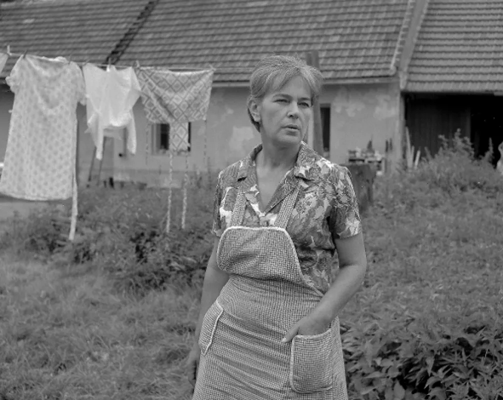 Křeček, 1974 - fotogaléria
