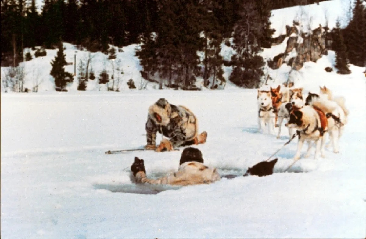 Hlas divočiny (Call of the Wild, The), 1972 - fotogaléria