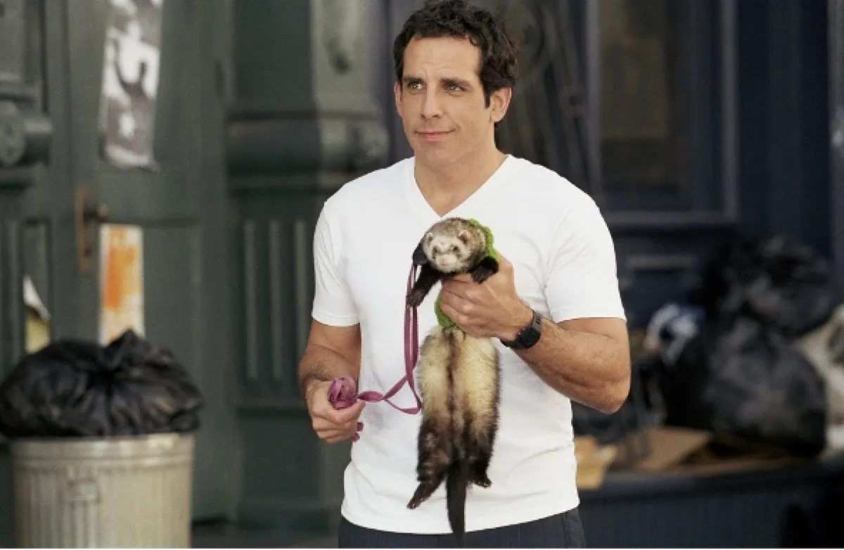 Risknem to s Polly (Along Came Polly), 2004 - fotogaléria