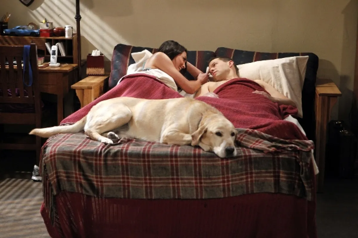Dva a půl chlapa (Two and a Half Men IX), 2011 - fotogaléria