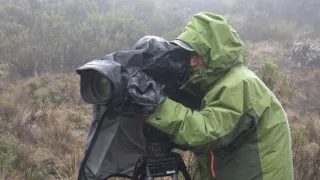 Kráľovstvo divočiny: Slon africký, Tanzánia