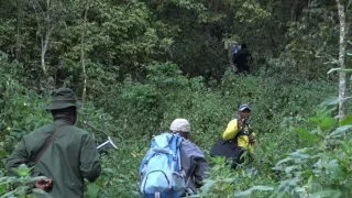 Kráľovstvo divočiny: Slon africký, Tanzánia