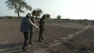 Kráľovstvo divočiny: Slon africký, Tanzánia