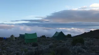 Kráľovstvo divočiny: Slon africký, Tanzánia