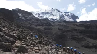 Kráľovstvo divočiny: Slon africký, Tanzánia