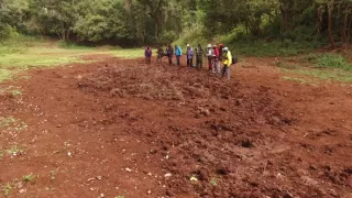 Kráľovstvo divočiny: Slon africký, Tanzánia