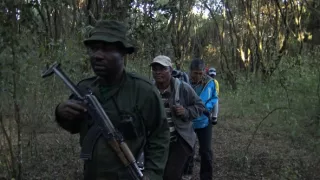 Kráľovstvo divočiny: Slon africký, Tanzánia