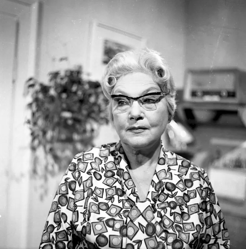 Naše bláznivá rodina, 1968 - fotogaléria