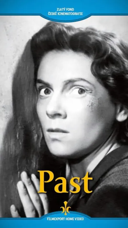 Past, 1950 - fotogaléria
