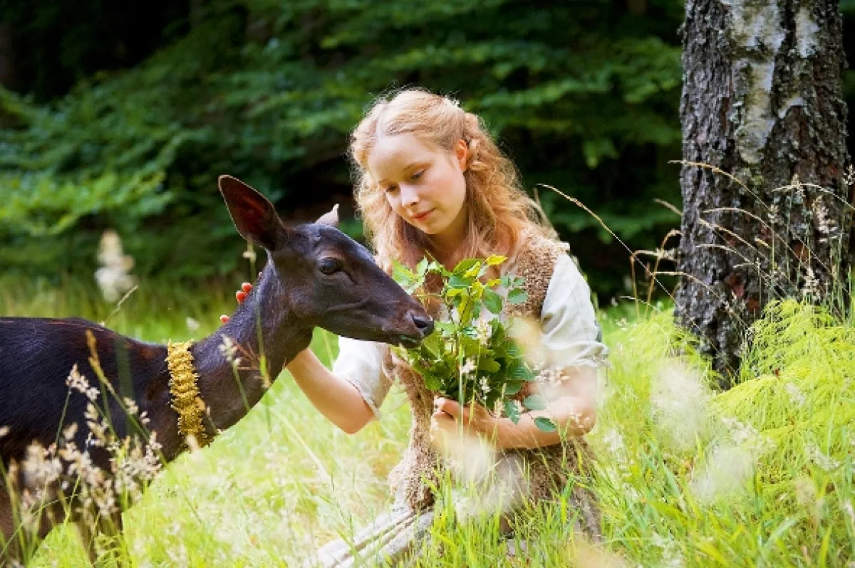 Braček a sestrička (Brüderchen und Schwesterchen), 2008 - fotogaléria