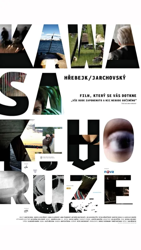 Kawasakiho růže, 2009 - fotogaléria