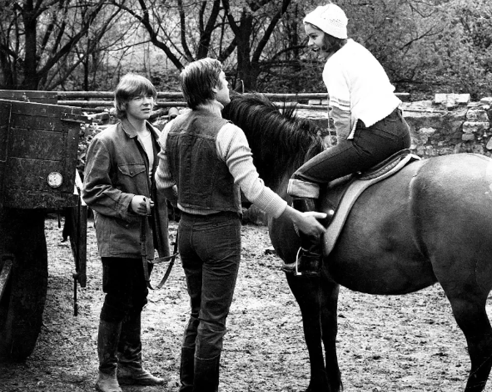 Brácha za všechny peníze, 1978 - fotogaléria