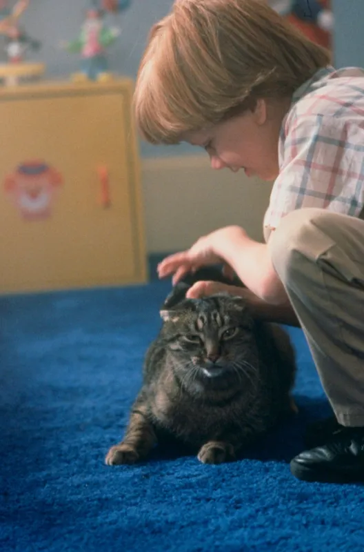 Ten kluk je postrach (Problem Child), 1990 - fotogaléria