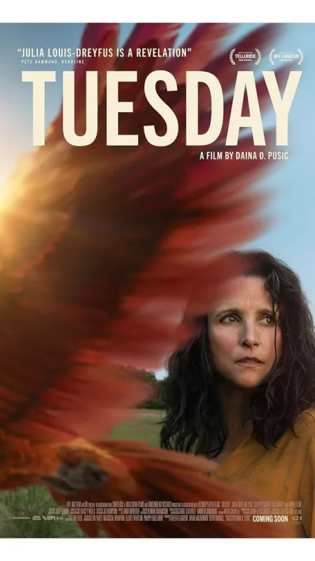 Tuesday, 2023 - fotogaléria