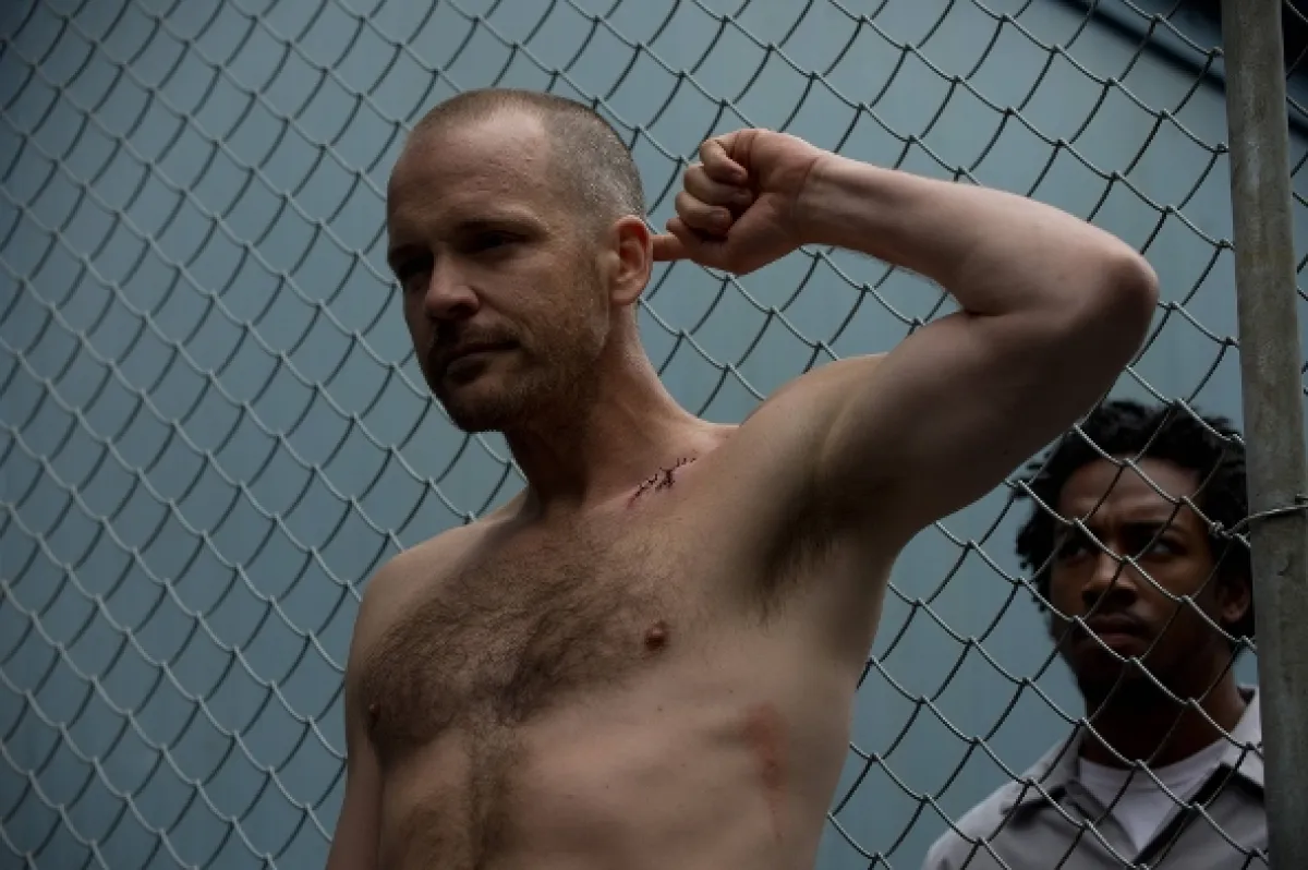 Zločin (Forbrydelsen III), 2013 - fotogaléria