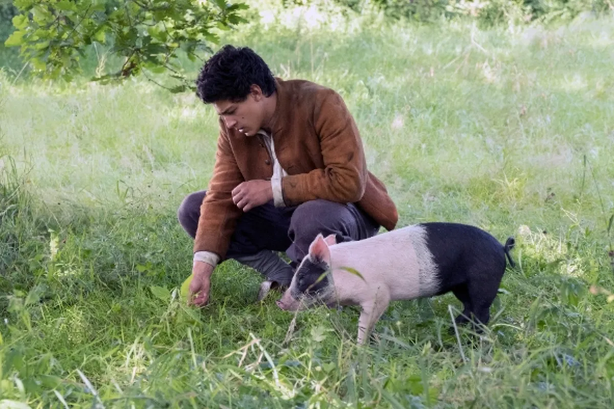 Pastier svíň (Der Schweinehirt), 2017 - fotogaléria