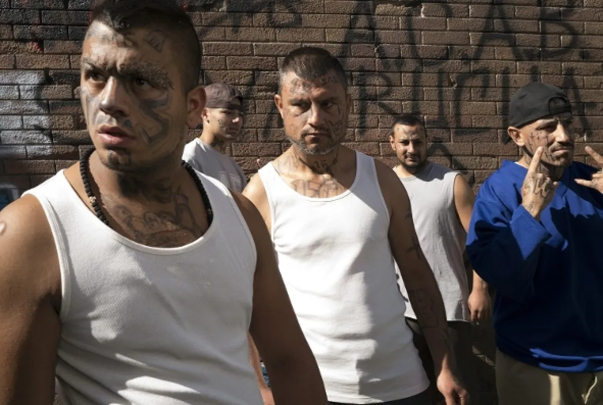 Zomrieť mladí, 2019 - fotogaléria