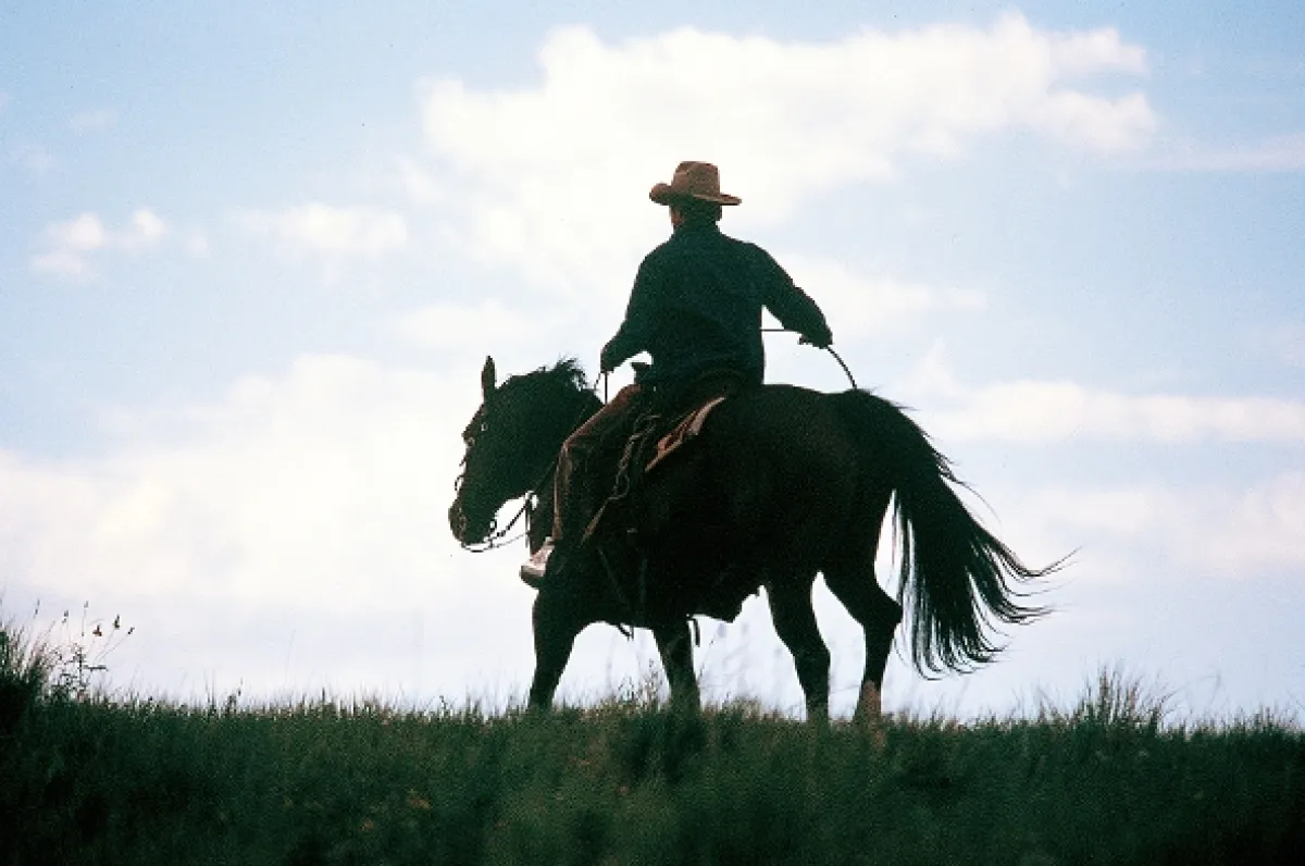 Zaříkávač koní (The Horse Whisperer), 1998 - fotogaléria