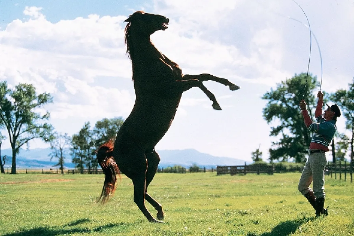 Zaříkávač koní (The Horse Whisperer), 1998 - fotogaléria
