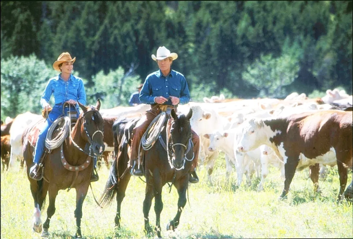 Zaříkávač koní (The Horse Whisperer), 1998 - fotogaléria