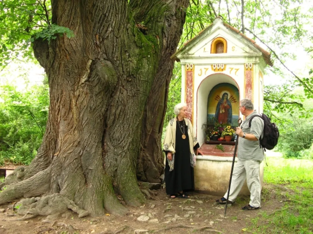 Magické hory Čech a Moravy, 2011 - fotogaléria