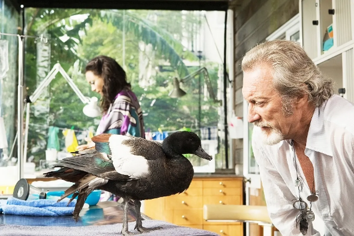 Hrdličky (Love Birds), 2011 - fotogaléria