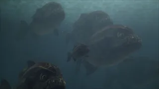 Megapiraňa