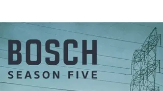 Bosch V (1)