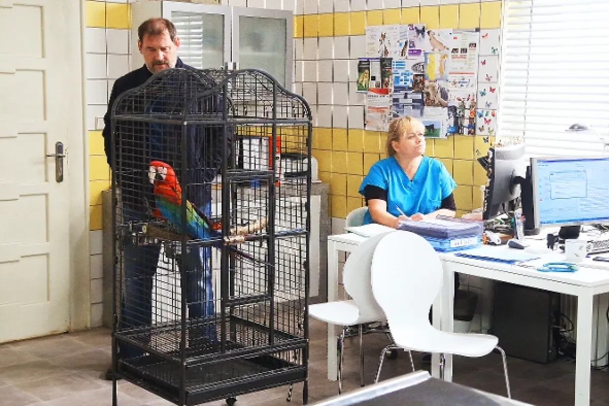 Krejzovi, 2018 - fotogaléria