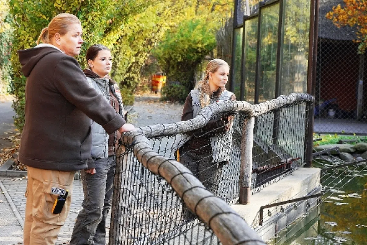 Zoo, 2021 - fotogaléria