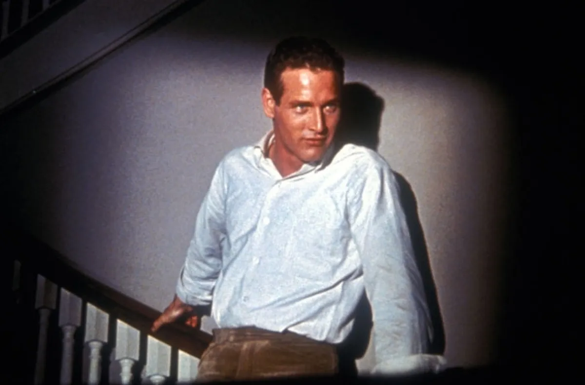 Kočka na rozpálené plechové střeše (Cat on a Hot Tin Roof), 1958 - fotogaléria