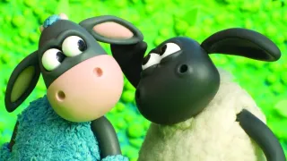 Kamarád Timmy