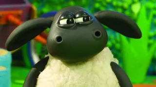 Kamarád Timmy