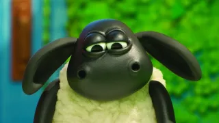 Kamarád Timmy