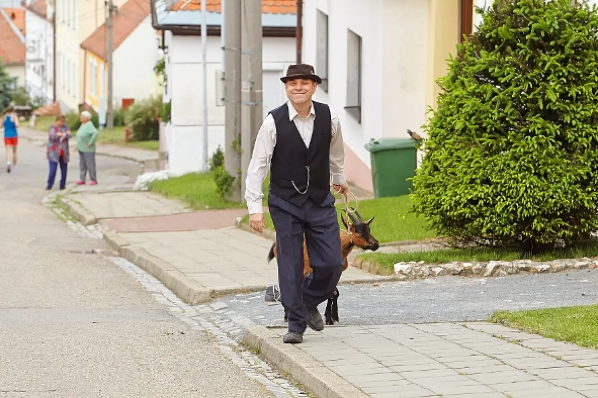 Vinaři, 2014 - fotogaléria