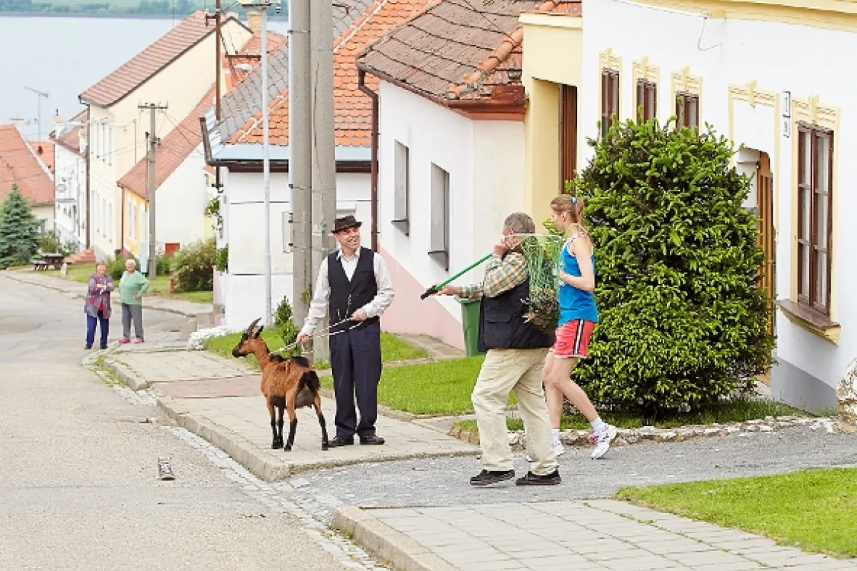 Vinaři, 2014 - fotogaléria