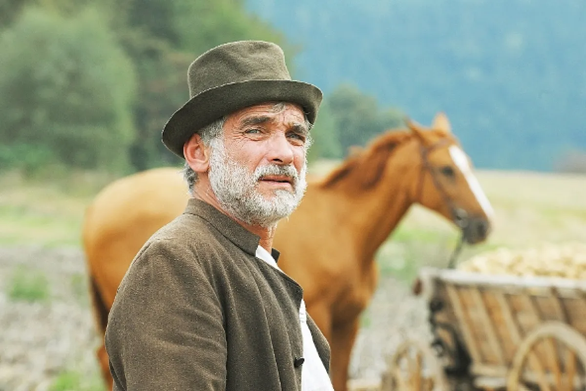 Tři bratři, 2014 - fotogaléria